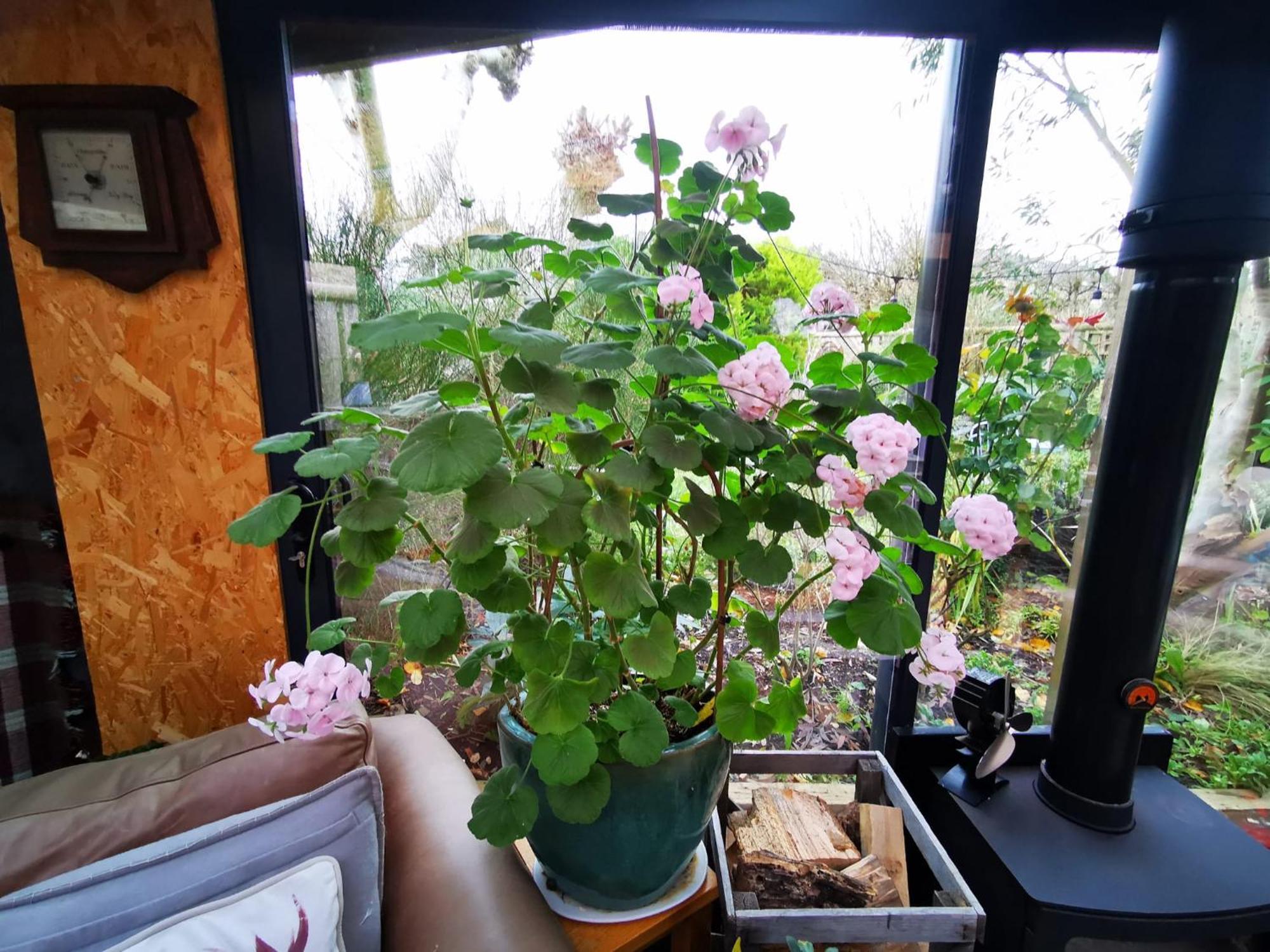 Cotswold Garden Chalet In סטואו-און-דה-וולד מראה חיצוני תמונה