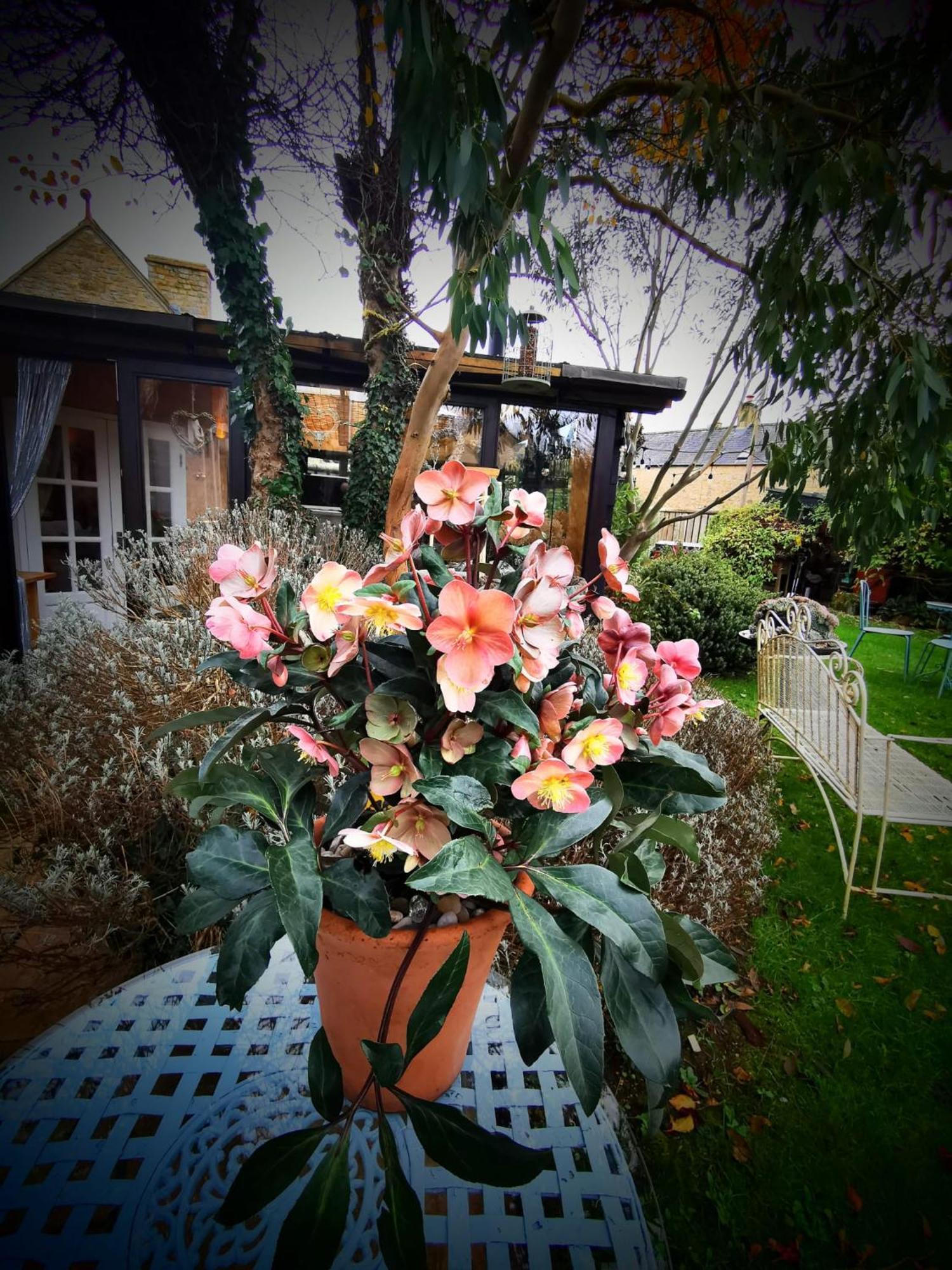 Cotswold Garden Chalet In סטואו-און-דה-וולד מראה חיצוני תמונה